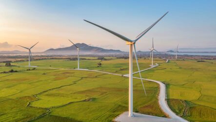 Social Value and ESG, CSR and Sustainability